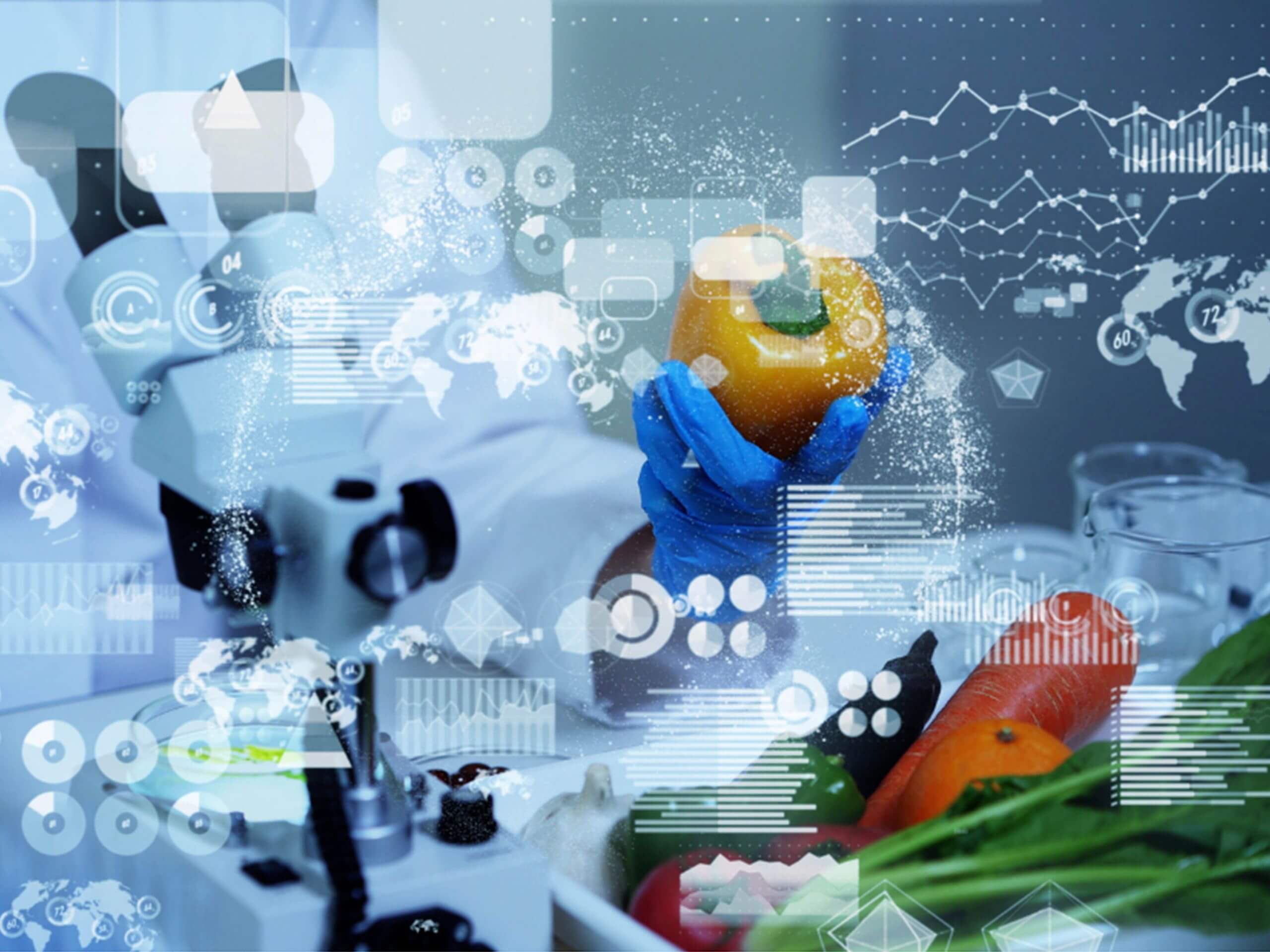 The Role of AI in Food Security