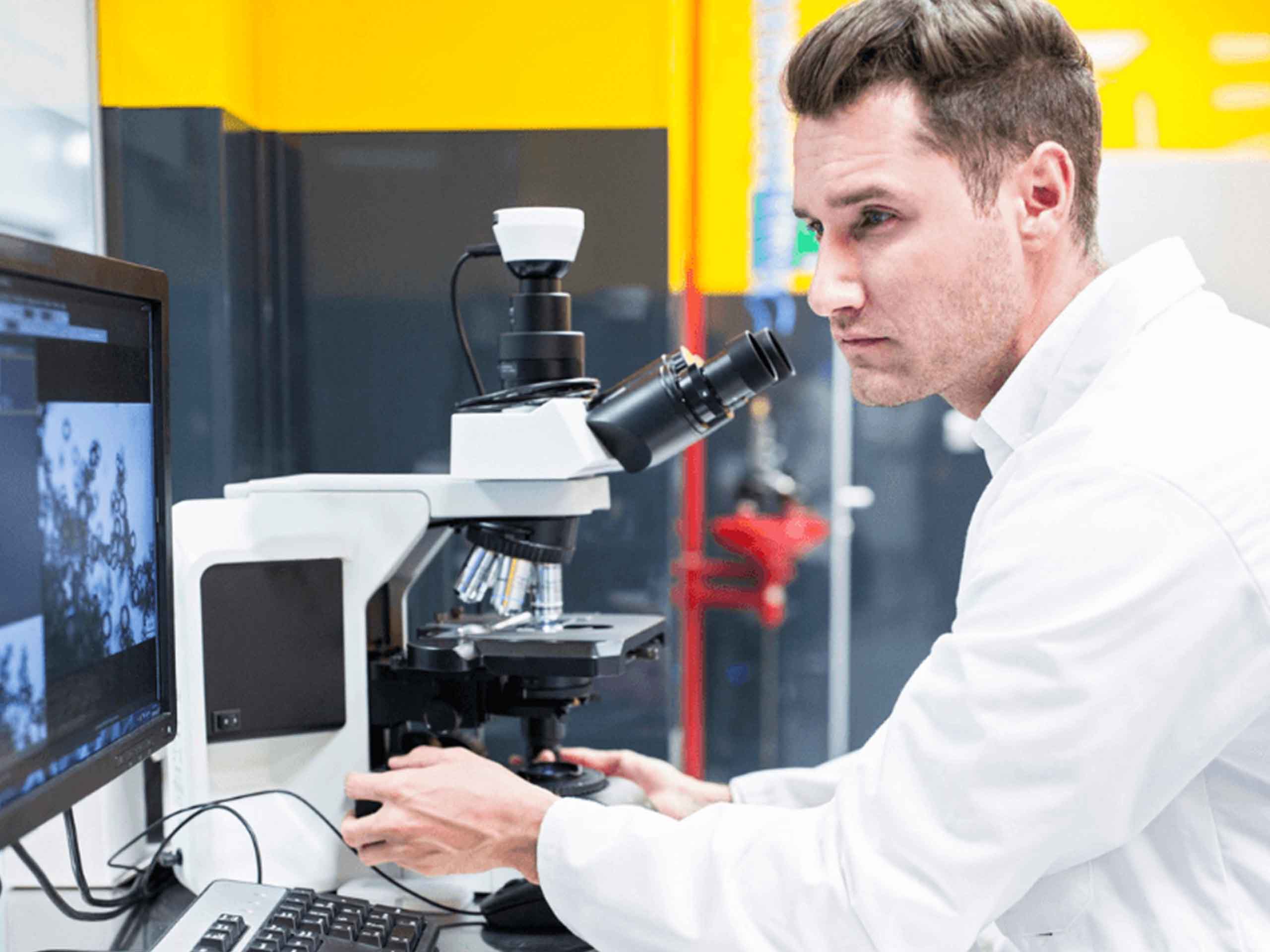 8 Ways How Lms Is Assisting Organizations