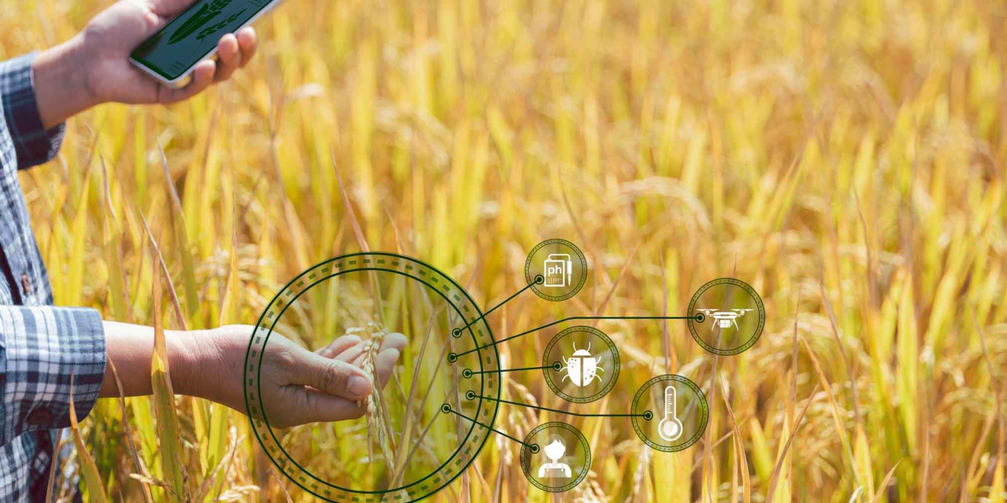 AI waste management solutions