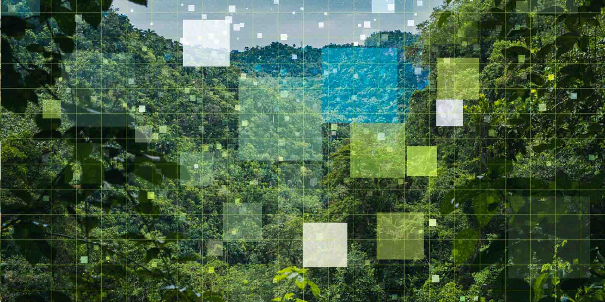 How AI is Optimizing Resource Consumption in Green Tech