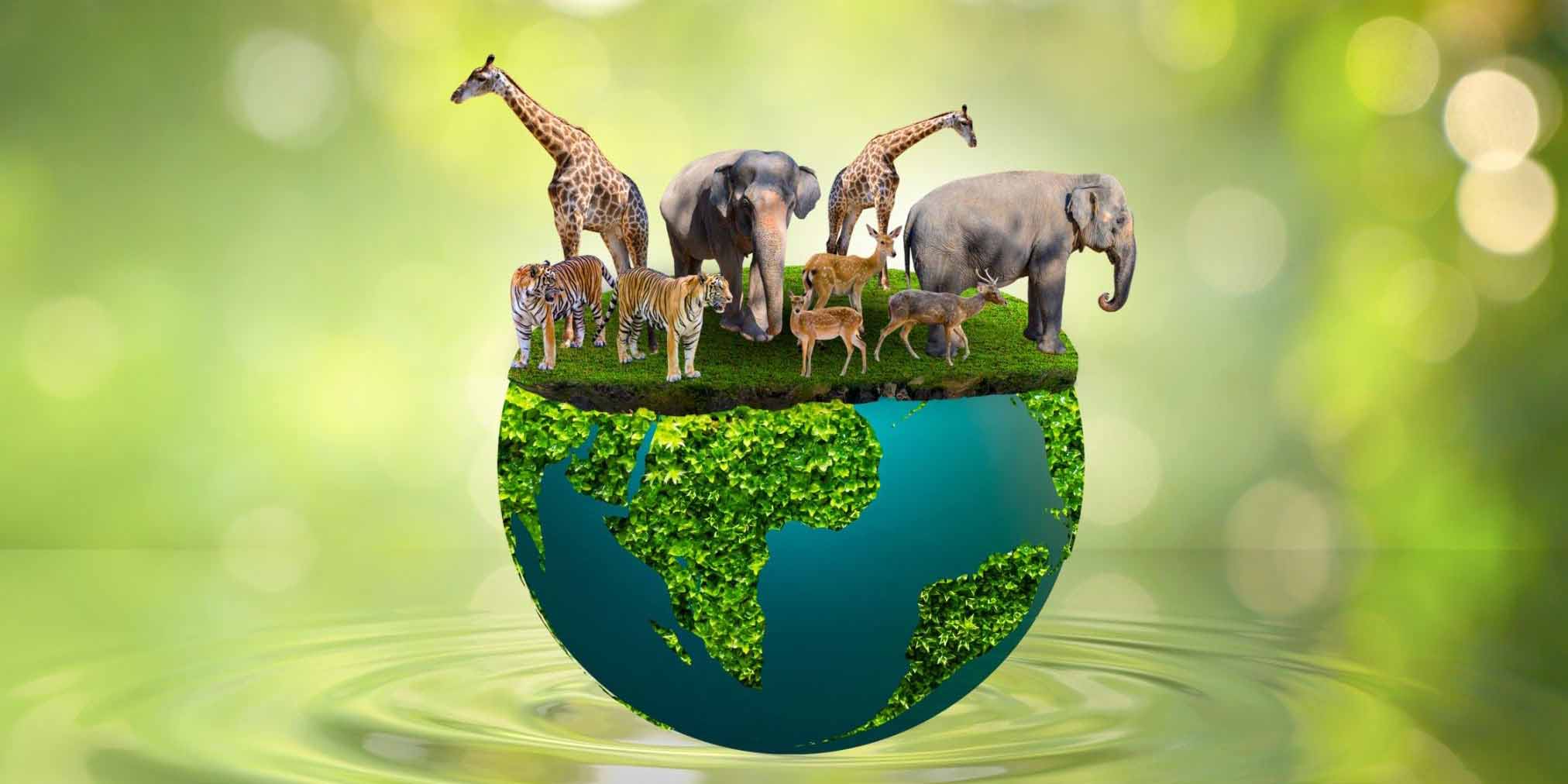 Energy Efficiency Solutions