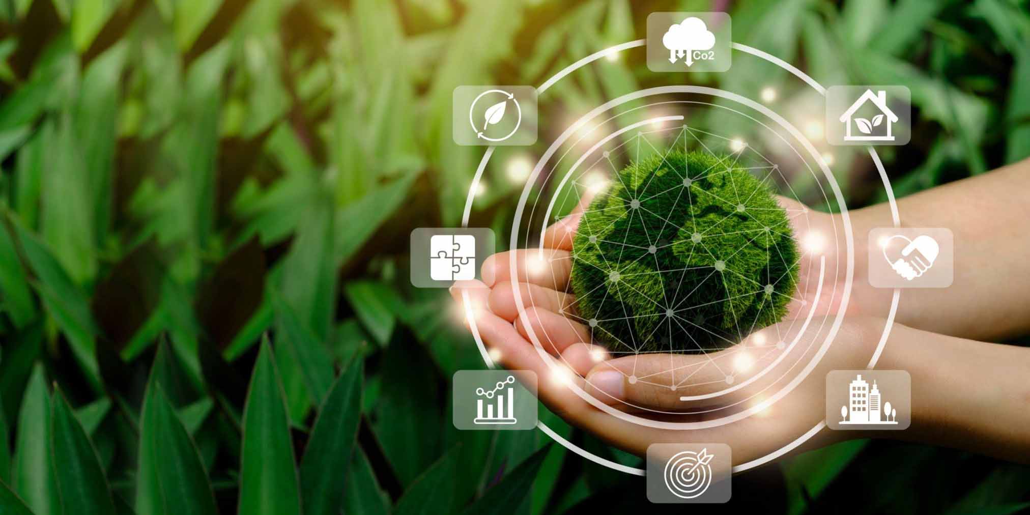 How Can AI Help in Protecting Biodiversity?